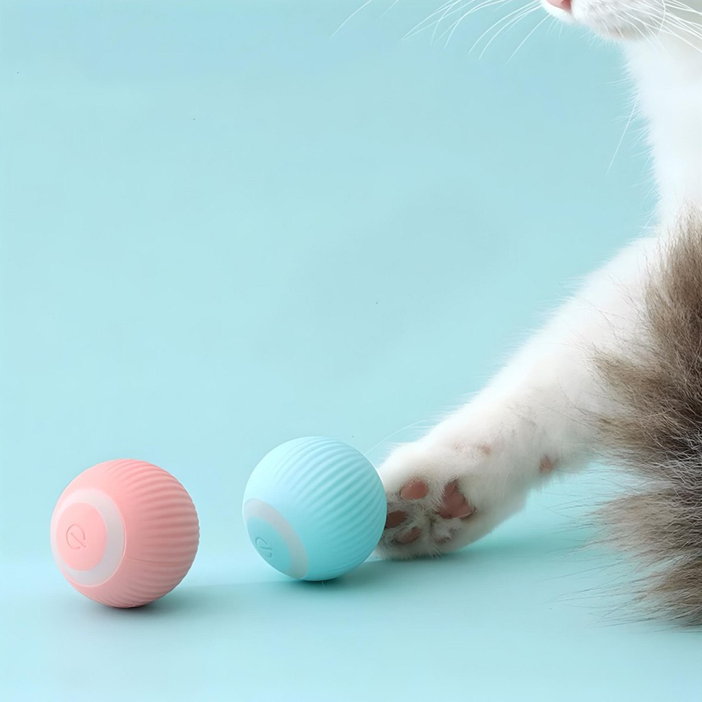 Smart Cat Ball