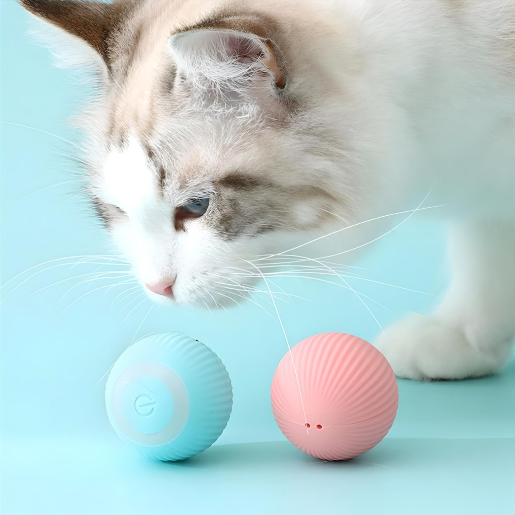 Smart Cat Ball