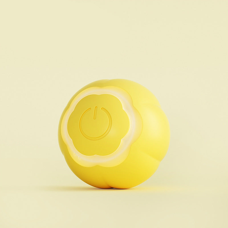 Smart Cat Ball