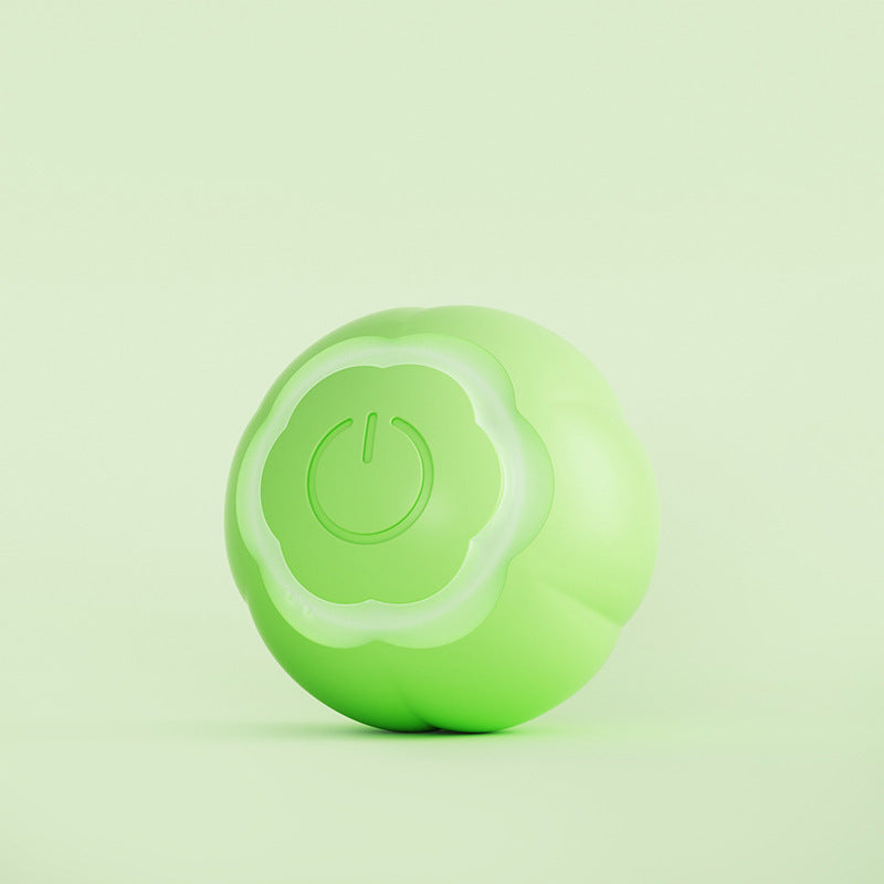 Smart Cat Ball