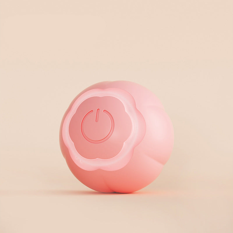Smart Cat Ball