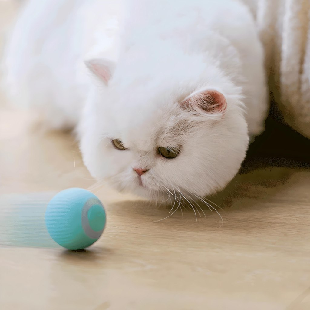 Smart Cat Ball
